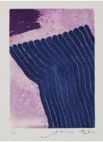 藏品(往永久的花園12)的圖片