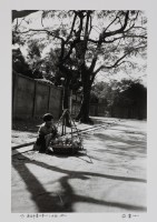 藏品(南台中賣水果的小女孩)的圖片