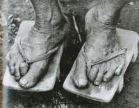 藏品(歷盡滄桑)的圖片