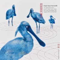 藏品(黑面琵鷺)的圖片