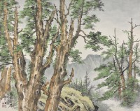 藏品(高山檜林)的圖片