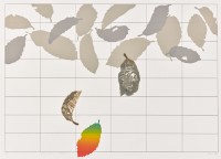 藏品(落葉知秋)的圖片