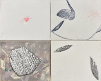 藏品(秋日)的圖片