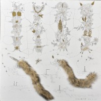 藏品(如果我有權力選擇)的圖片