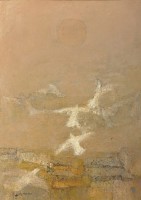 藏品(飛翔)的圖片