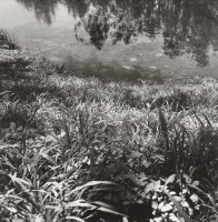 藏品(雁無遺踪之志(台東森林公園))的圖片