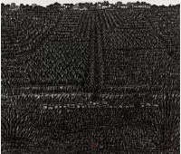 藏品(田野上的植物)的圖片