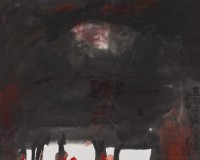 藏品(夏影婆娑)的圖片