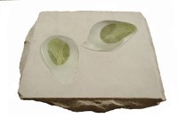 藏品(水中的雲朵No.9)的圖片