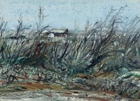 藏品(花非花)的圖片