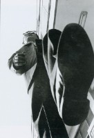 藏品(當今社會)的圖片