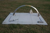 藏品(源)的圖片