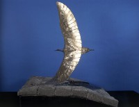 藏品(翔鳥)的圖片