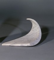 藏品(和善的回報)的圖片