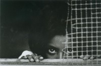 藏品(窺)的圖片