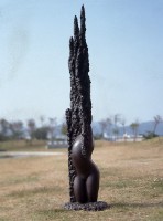 藏品(生命之花)的圖片