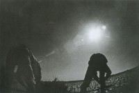 藏品(農作)的圖片