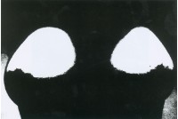 藏品(峰)的圖片