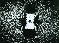 藏品(幻想樂)的圖片