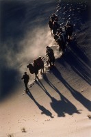 藏品(行)的圖片