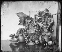 藏品(水果)的圖片