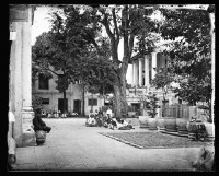 藏品(坐落於樹旁的年輕王子)的圖片