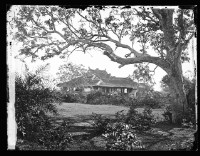 藏品(西貢-3)的圖片