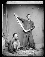 藏品(街頭賭博)的圖片