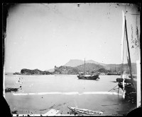 藏品(打狗)的圖片