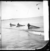 藏品(浪中捕魚)的圖片