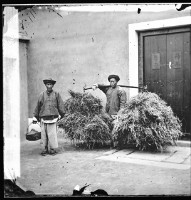 藏品(勞工)的圖片