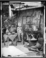 藏品(暹邏王子)的圖片