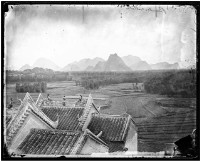 藏品(竹林)的圖片