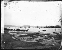 藏品(落潮時的港灣)的圖片