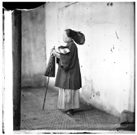 藏品(廣東婦女)的圖片