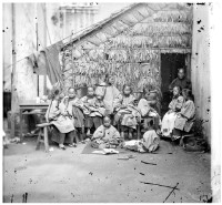 藏品(育幼院)的圖片