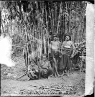 藏品(原住民-3)的圖片