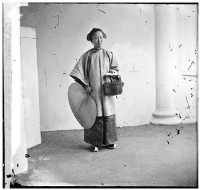 藏品(女僕)的圖片