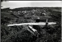 藏品(回到部落)的圖片