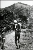 藏品(回家)的圖片