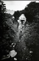 藏品(戴銀盔的男人)的圖片