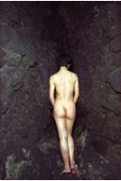 藏品(根源)的圖片