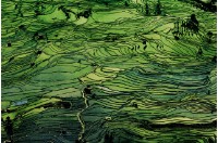 藏品(遍綠梯田)的圖片