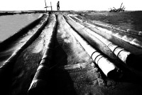 藏品(等待)的圖片