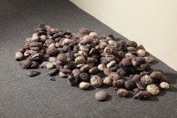 藏品(洗衣石)的圖片