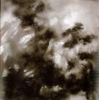 藏品(迴出塵圜外)的圖片