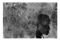 藏品(龍發堂之四)的圖片