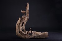 藏品(天長地久)的圖片