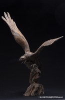 藏品(展羽鷹)的圖片
