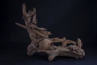 藏品(田園一隅)的圖片